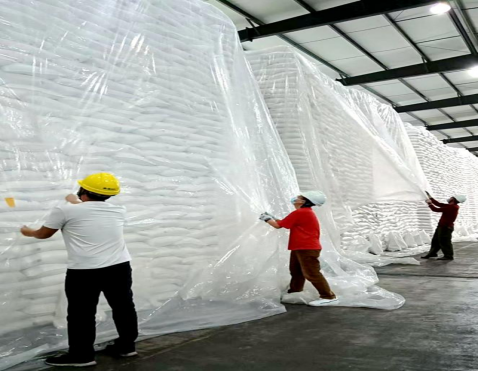 ¿Ê±|AG(Asia Gaming)ÓÅÖÊÔËÓªÉÌ