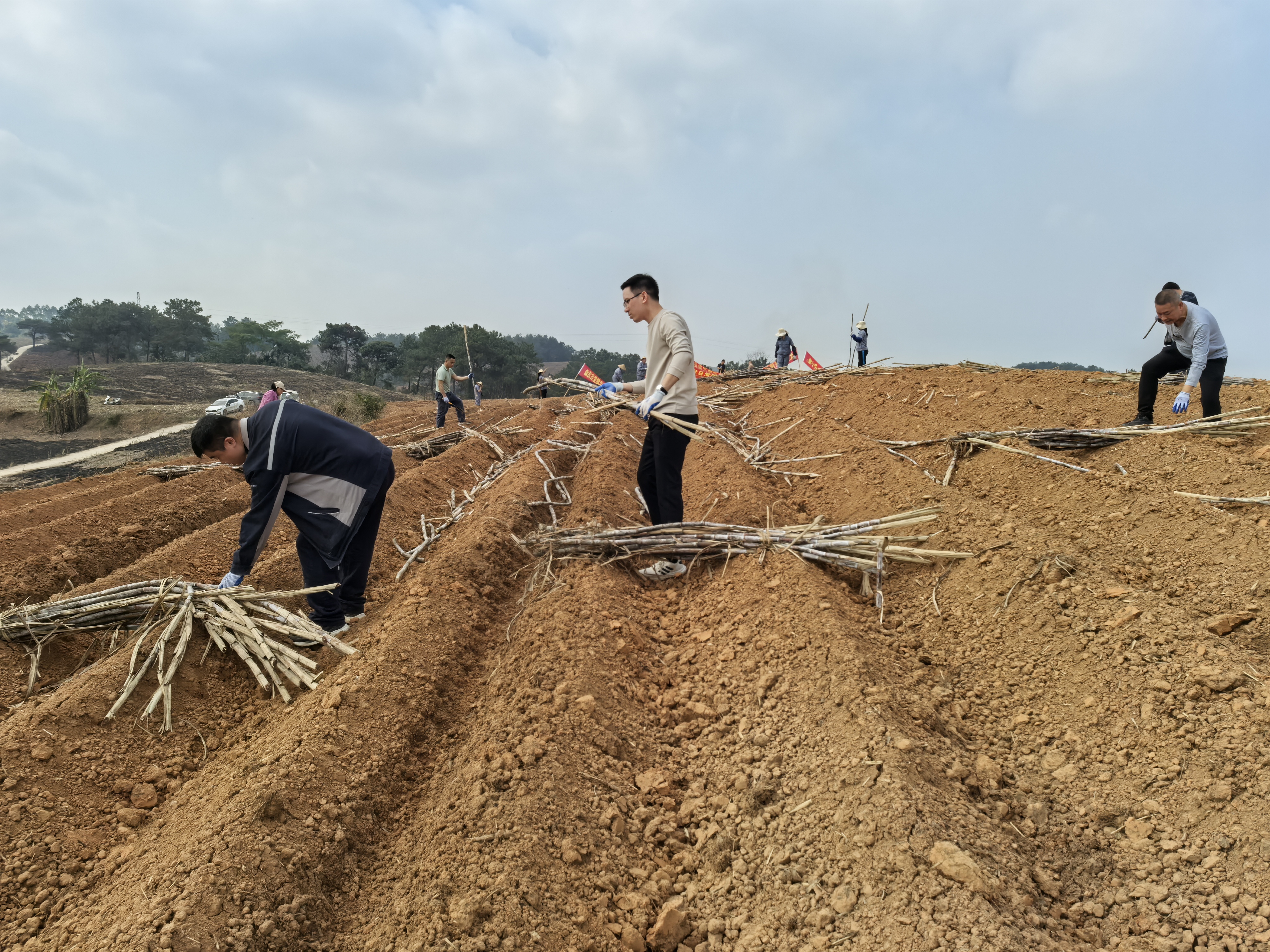 凯时|AG(Asia Gaming)优质运营商